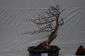 080315DSC_0078