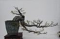 080315DSC_0104