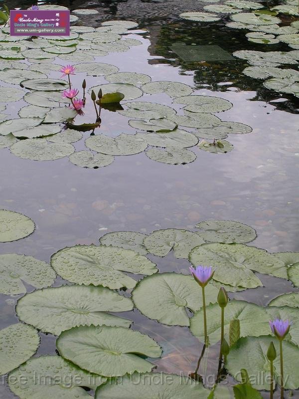 07july_DSCN1339.JPG