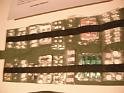 20120817poly-u_DSCF0798