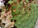 C360_2014-09-09-21-23-10-962