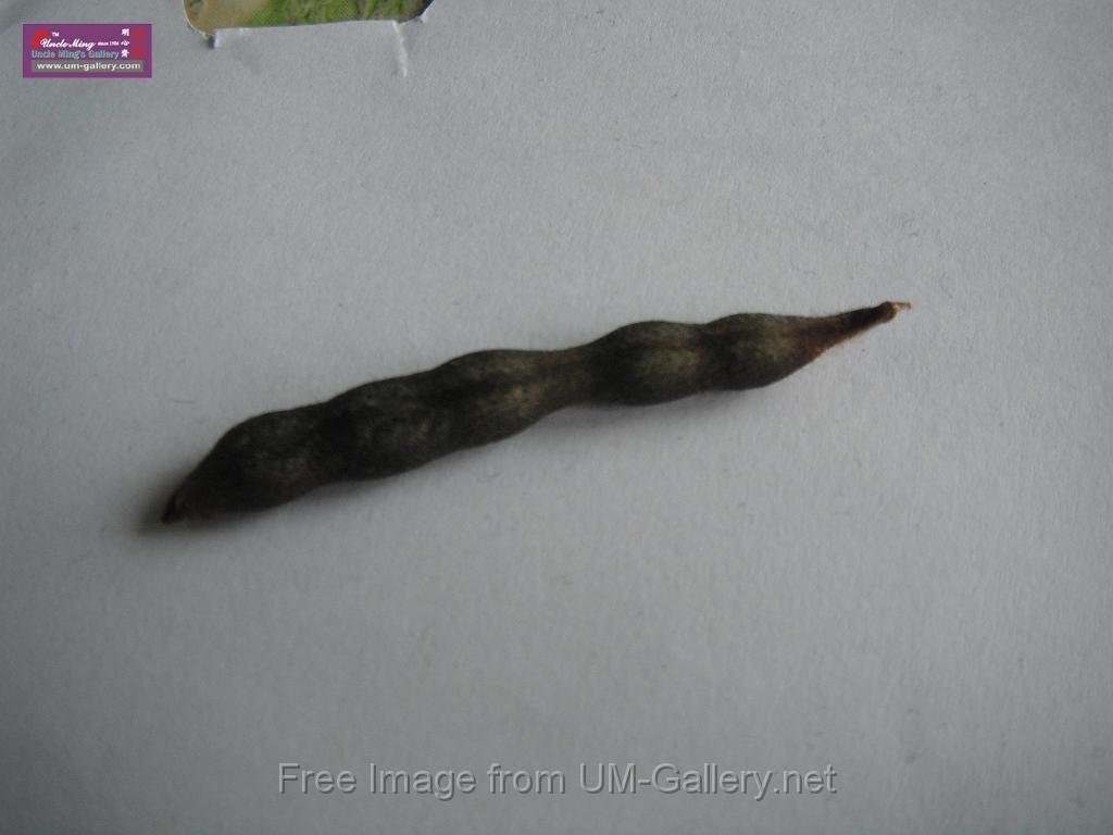DSCF8252.JPG
