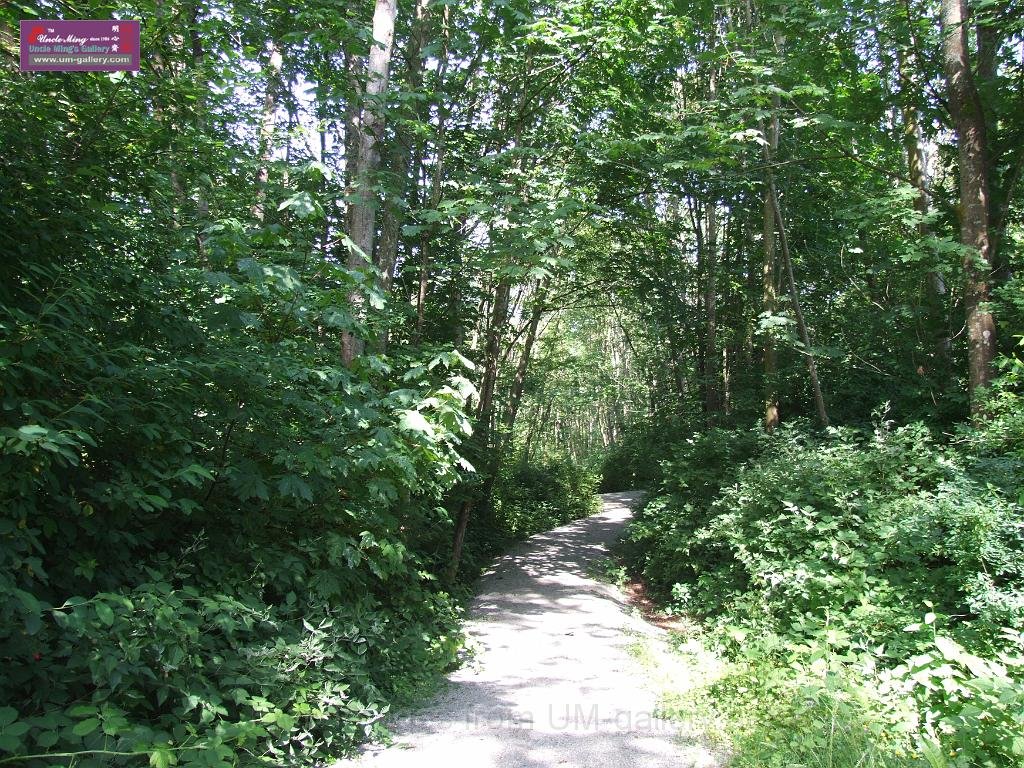 DSCF0605.JPG