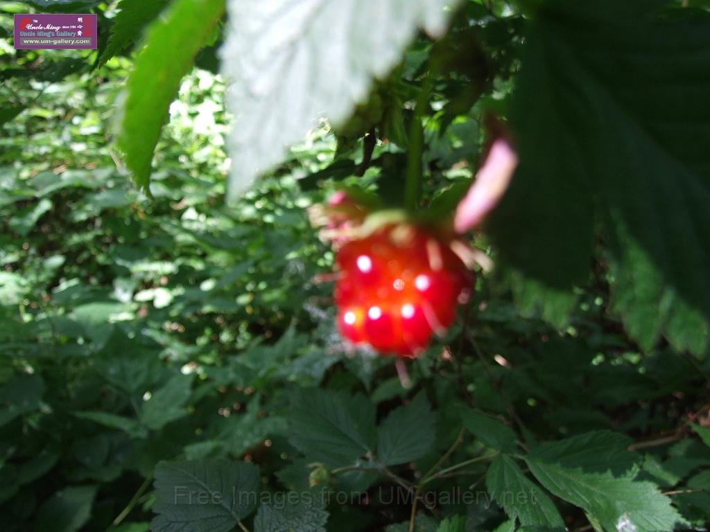 DSCF0607.JPG