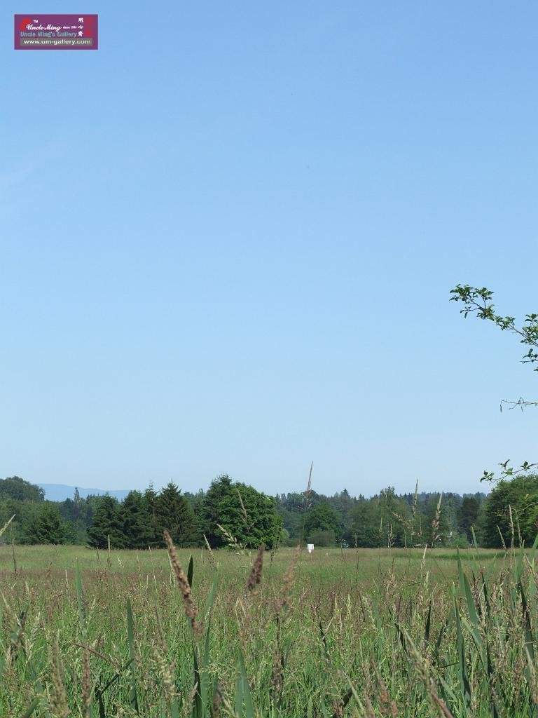 DSCF0618.JPG