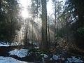 09jan_sm_vancouver_P1020124