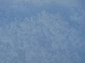 09jan_sm_vancouver_P1020297