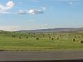 201609SF_Aurora_DSCN0128