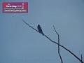0803jw_P1080855