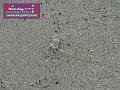 0803jw_P1080873
