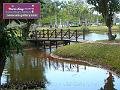0803jw_P1080926