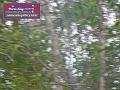 0803jw_P1080994