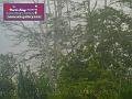 0803jw_P1080996