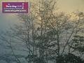 0803jw_P1090003