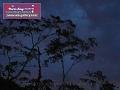 0803jw_P1090026