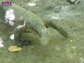 0803sm_P1090242