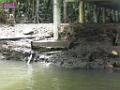 090410jw_langkawi_P1180361
