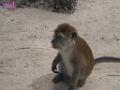 090410my_langkawi_P4110081