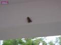 090410my_langkawi_P4130293