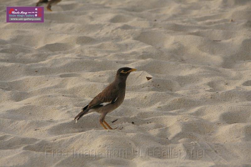 090410IMG_sk_0042beach.jpg