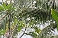090410IMG_sk_0277