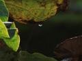 201309vol02-sf-singapore-DSCN6897