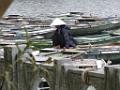 201612SF_nVietnam_DSCN2520