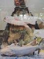 201703sf-thailand-north-DSCN4941