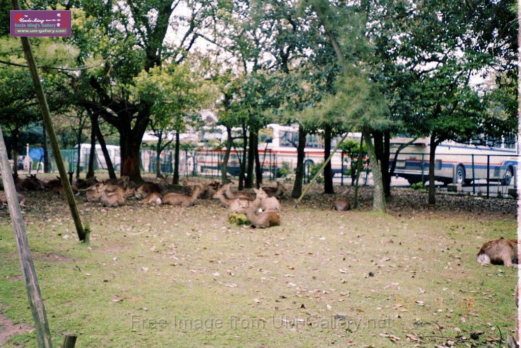 9204sm_FE_1057.JPG