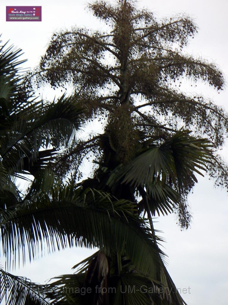 PICT2718.JPG