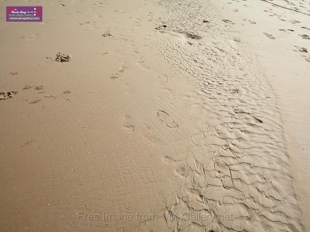 _SCN0795.JPG
