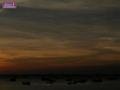 _SCN0822