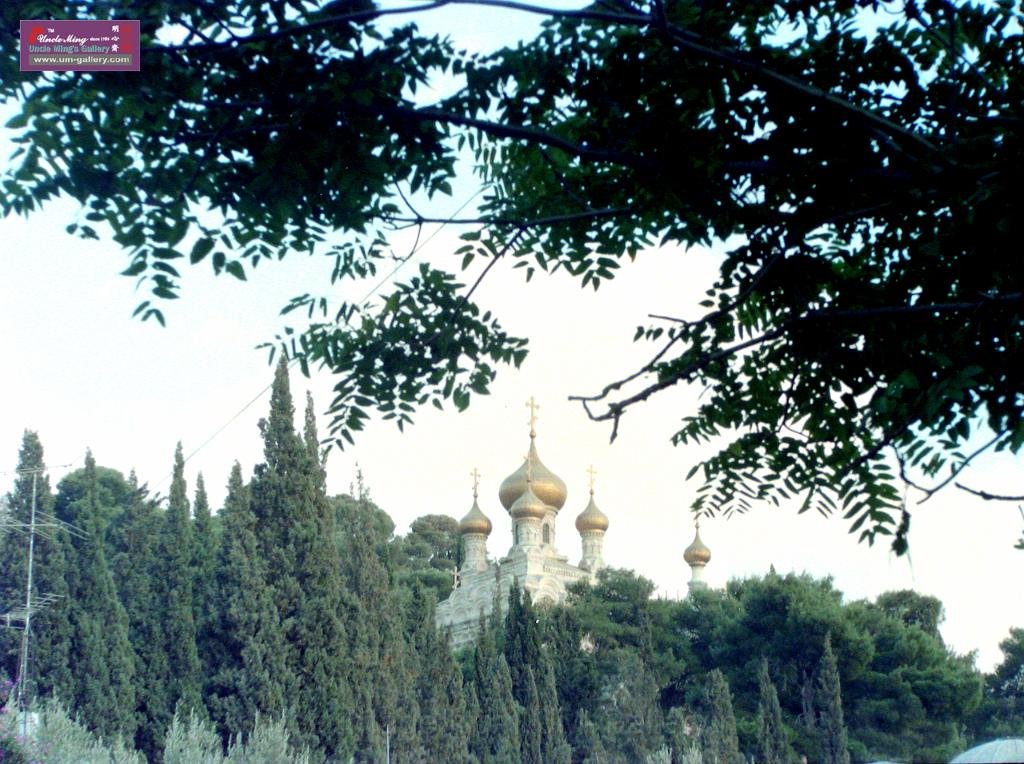 DSCN8078.JPG