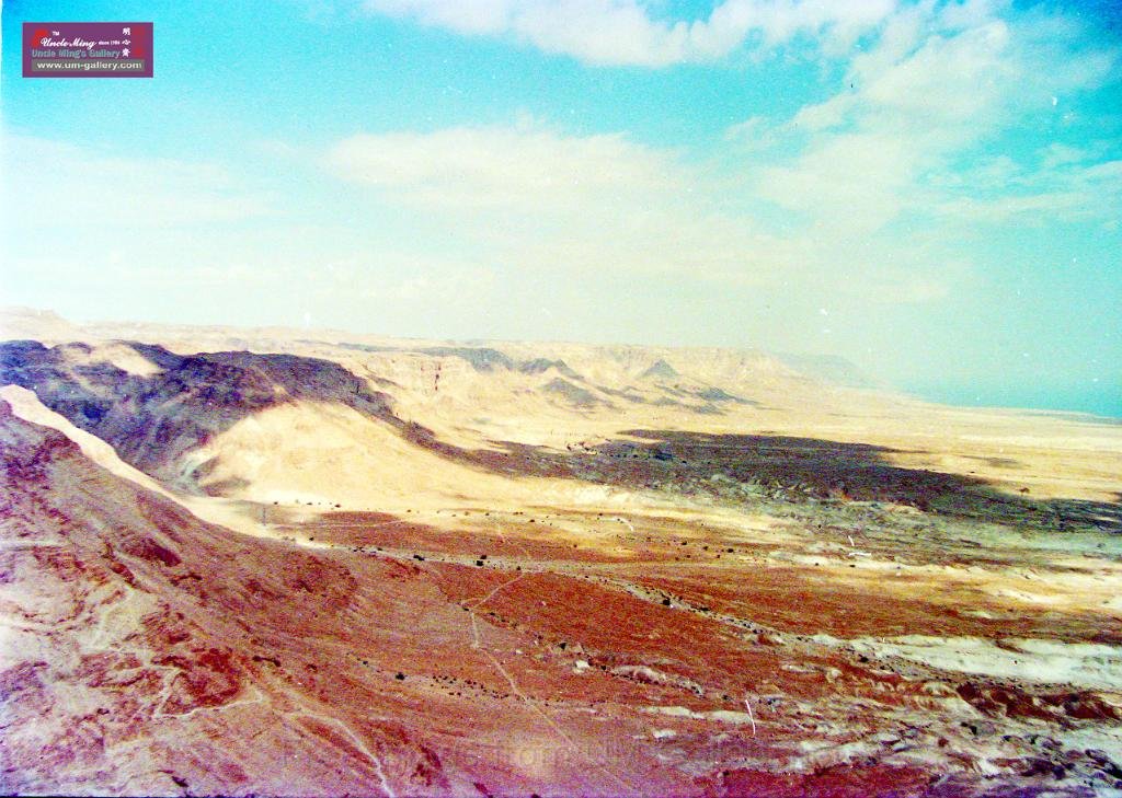DSCN8135.JPG