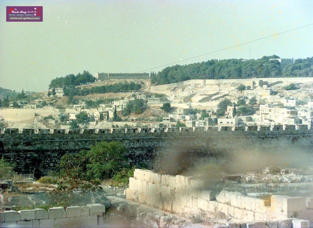 DSCN8141.JPG