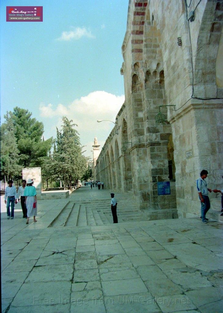 DSCN8143.JPG
