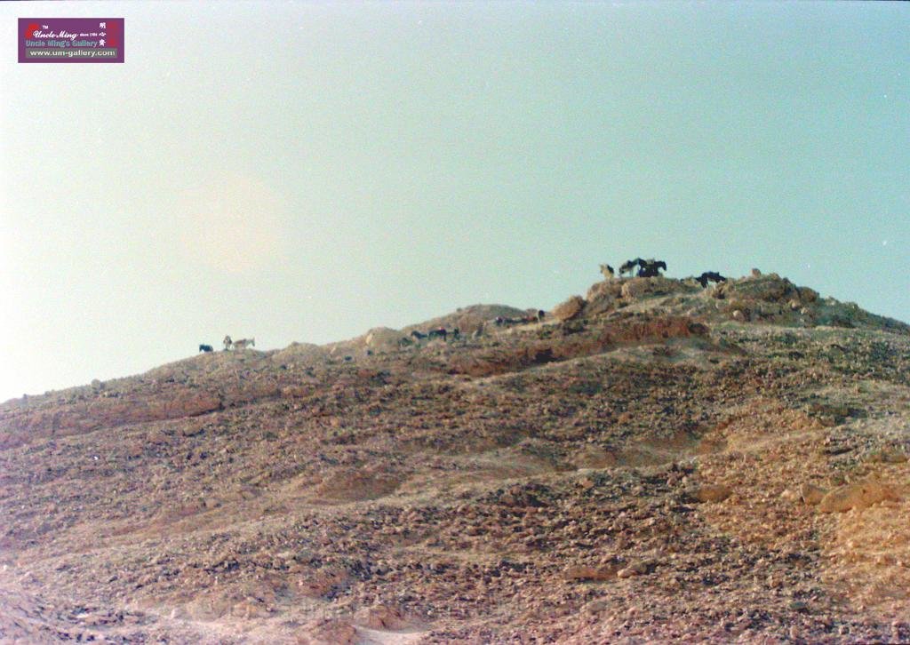 DSCN8233.JPG