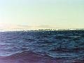 DSCN8185