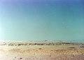 DSCN8205