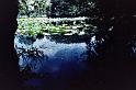 7904sm_fe_0018