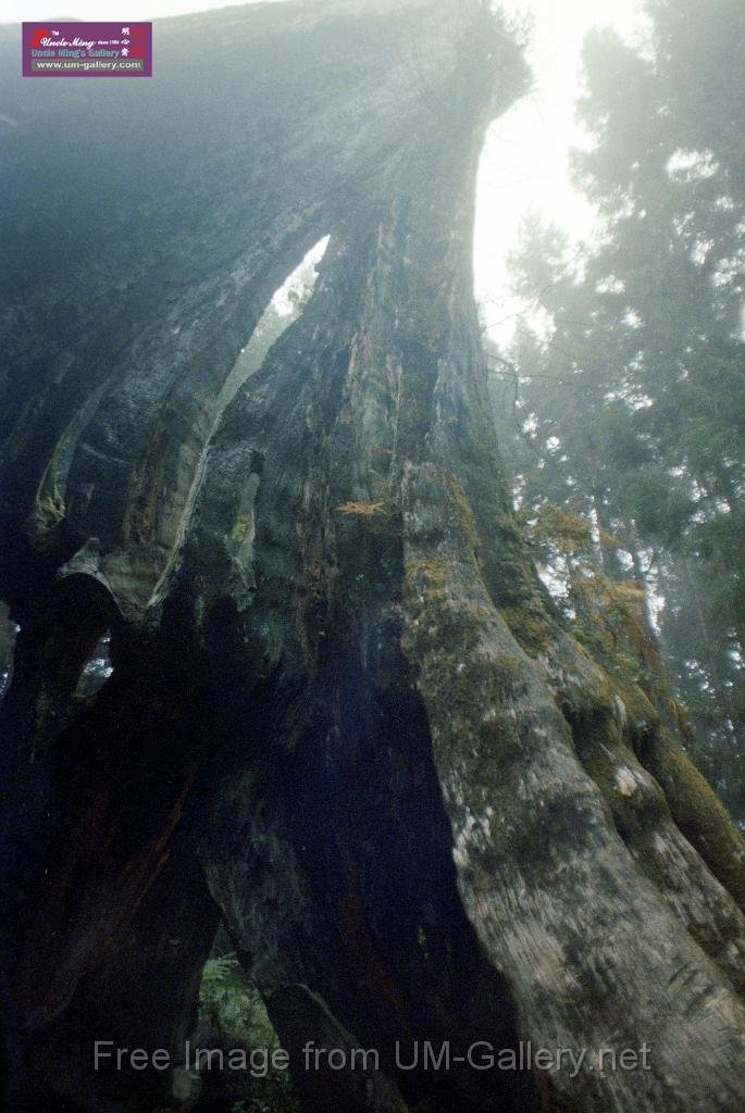 DSC_0109.JPG
