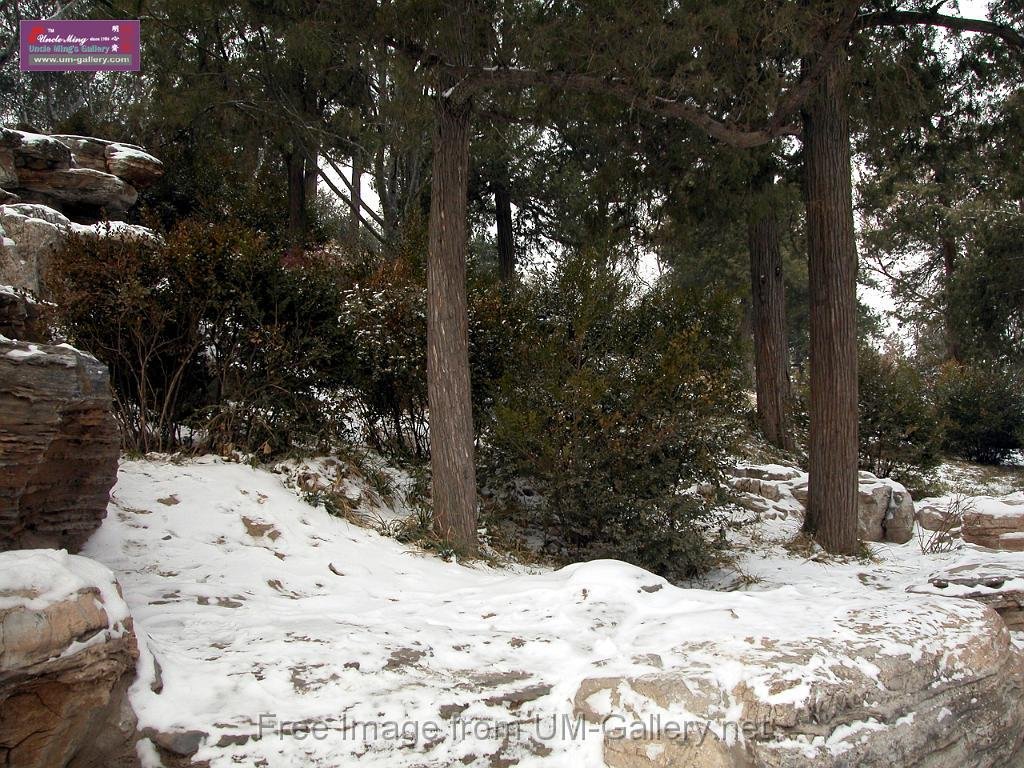 DSCN7102.JPG