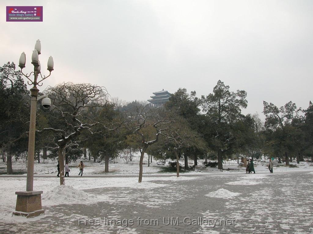 DSCN7103.JPG