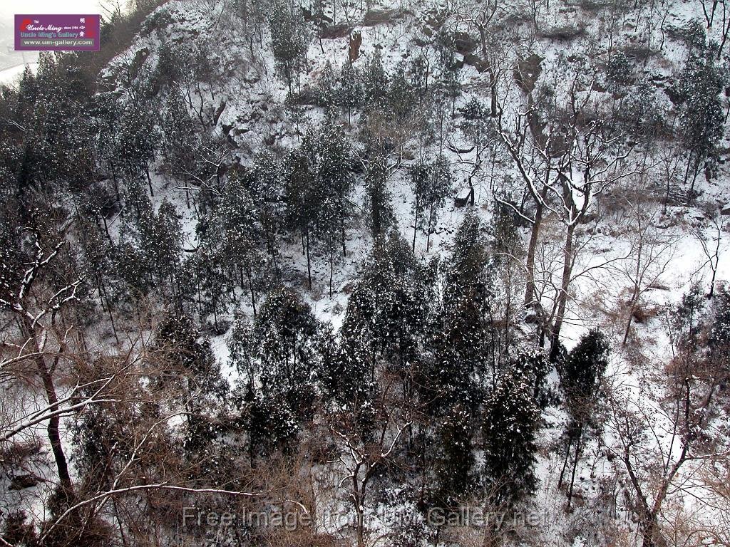 DSCN7139.JPG