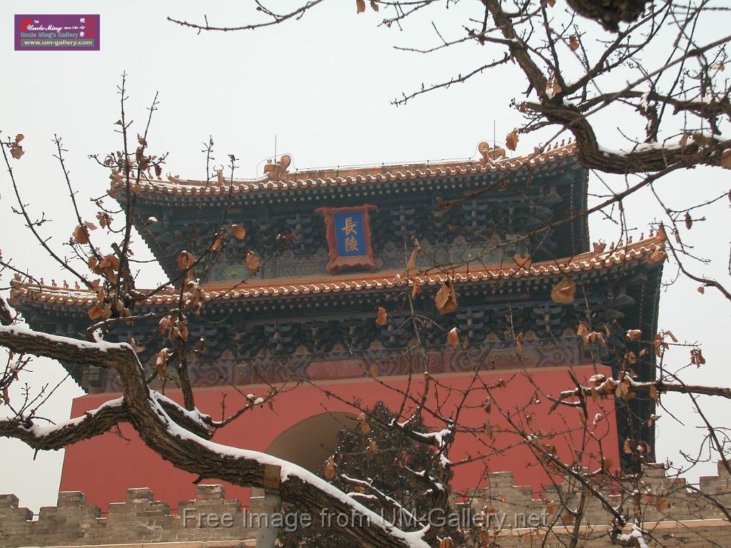 DSCN7195.JPG