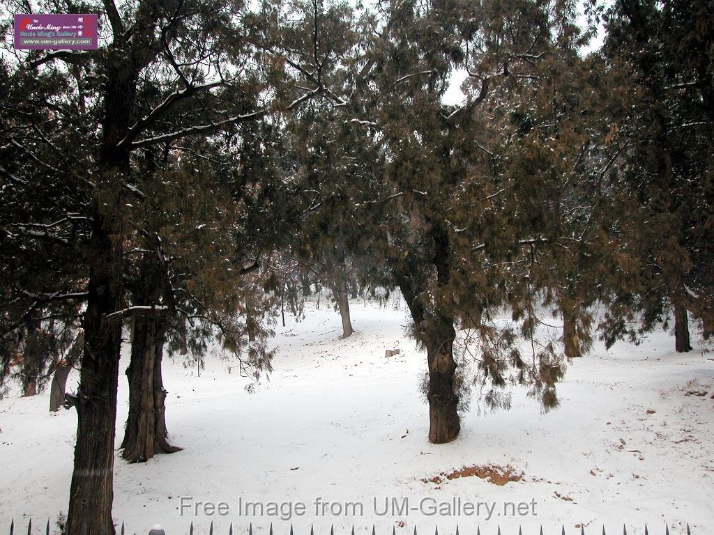 DSCN7199.JPG