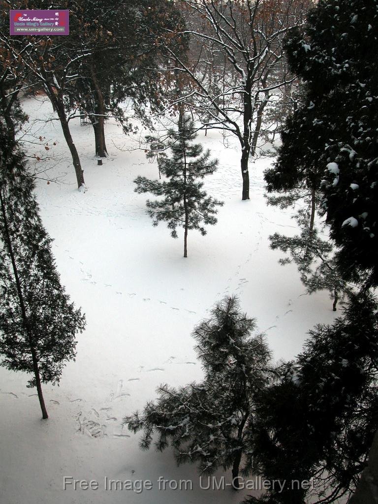 DSCN7203.JPG
