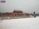 DSCN7007