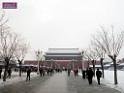 DSCN7025
