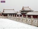 DSCN7059
